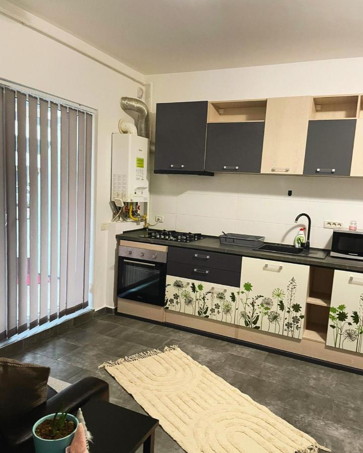 Apartament Vivamusapartmentsbv Brașov
